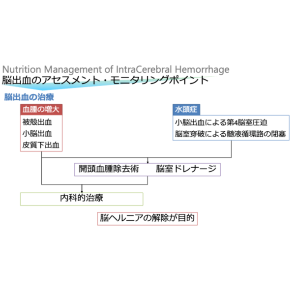 脳血管疾患2/4 | 脳出血の栄養管理(※pptxダウンロード可) - 画像 (4)