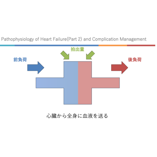 心不全2/4 | 心不全の病態生理(後編)と合併症管理(※pptxダウンロード可) - 画像 (3)