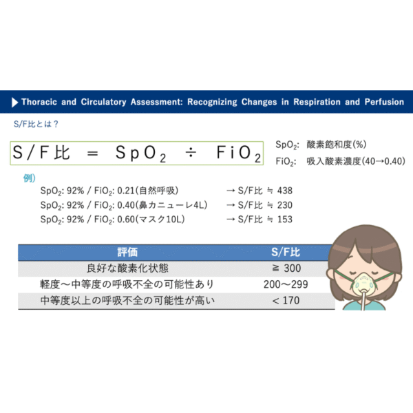 フィジカルアセスメント3/4 | 胸部・循環のフィジカルアセスメン：呼吸と循環の変化に気づく - 画像 (3)