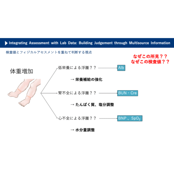 フィジカルアセスメント4/4 | 検査データとつなげる視点：情報を重ねて判断する力を育てる - 画像 (4)